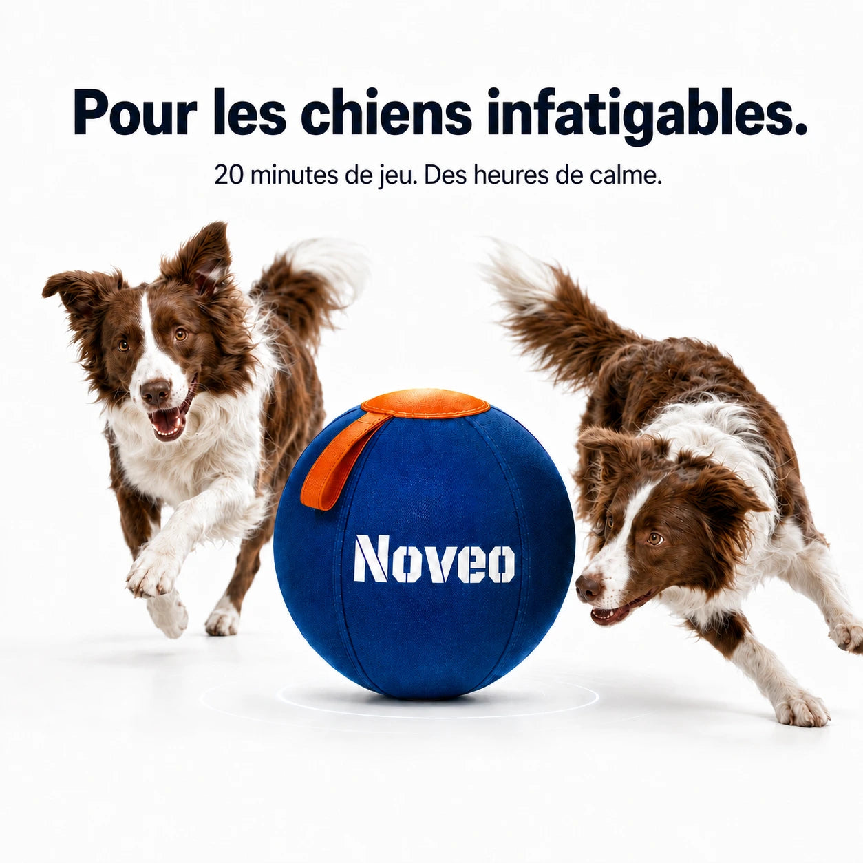 La balle qui ramène le calme à la maison