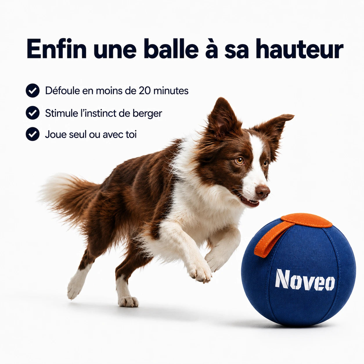 La balle qui ramène le calme à la maison