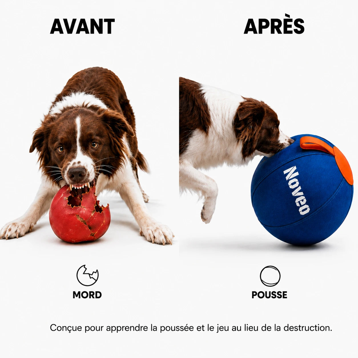 La balle qui ramène le calme à la maison
