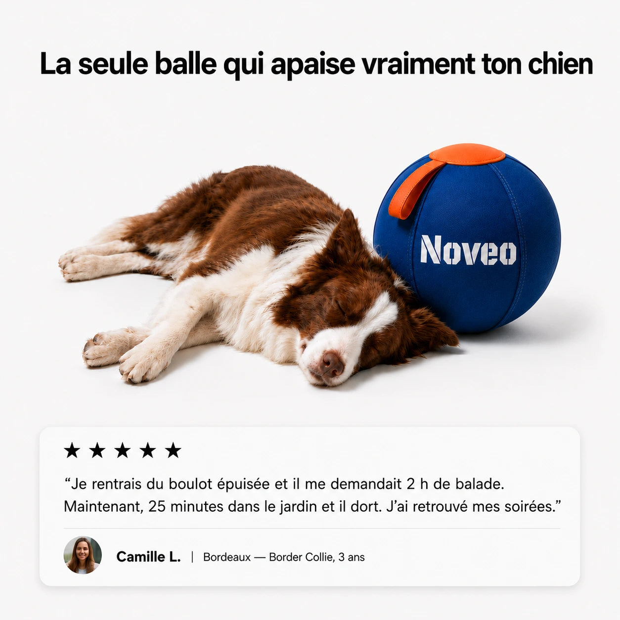 La balle qui ramène le calme à la maison