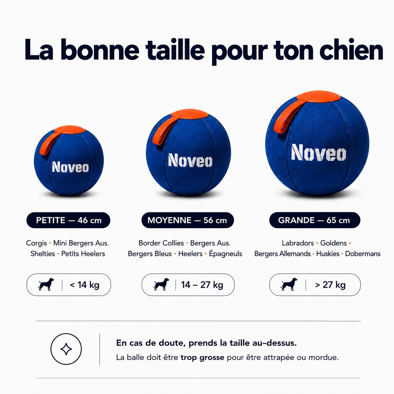 La balle qui ramène le calme à la maison