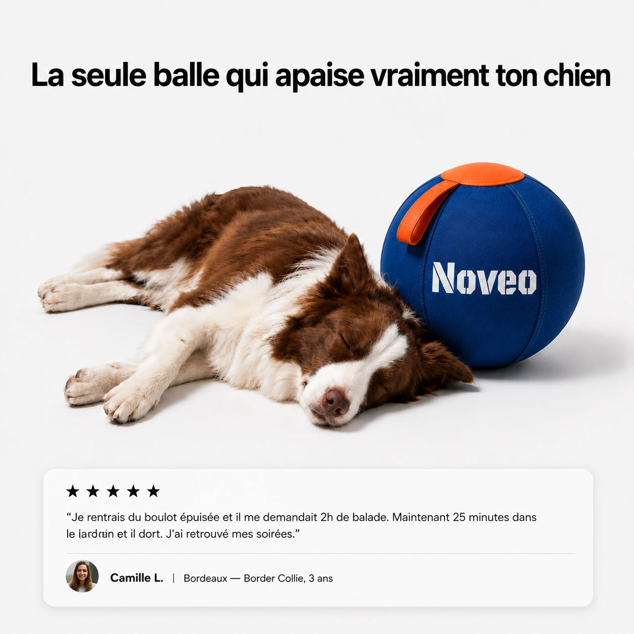 La balle qui ramène le calme à la maison